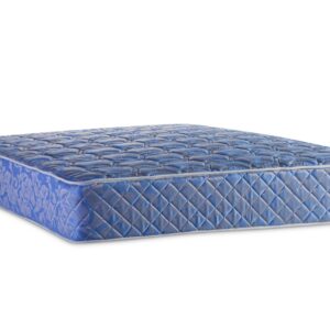 Linea dorada - Image 4