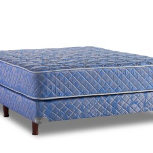 Linea dorada - Image 5