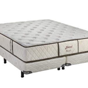 Premium - Image 6