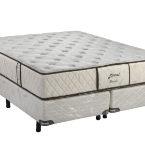 Premium - Image 5