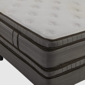 Premium euro max - Image 5