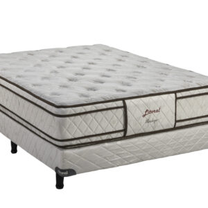 Realeza euro top - Image 7